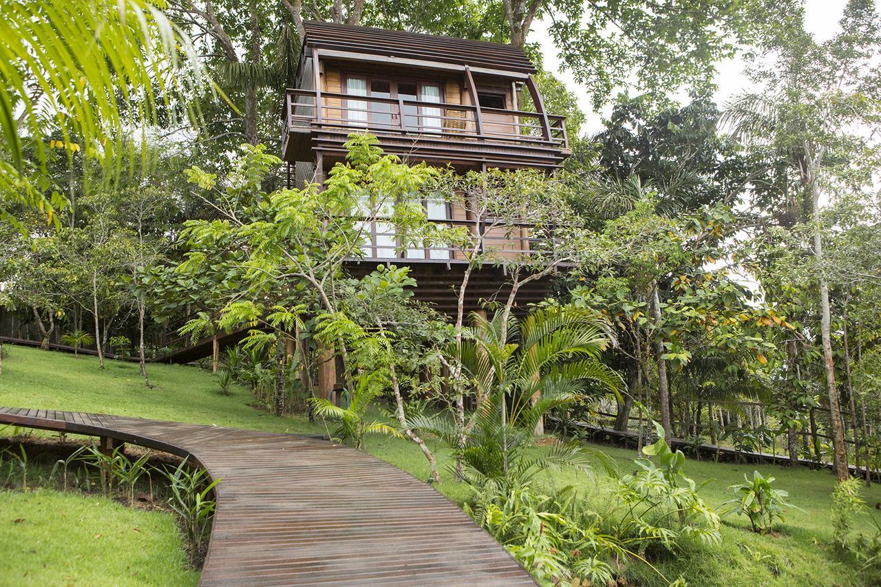 Mirante Do Gaviao Amazon Lodge Novo Airao Bagian luar foto